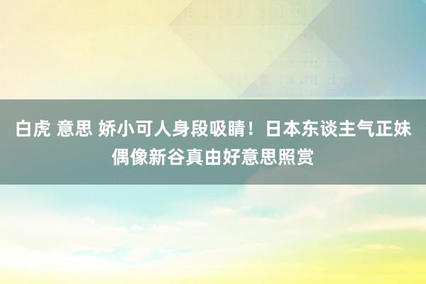 白虎 意思 娇小可人身段吸睛!日本东谈主气正妹偶像新谷真由好意思照赏