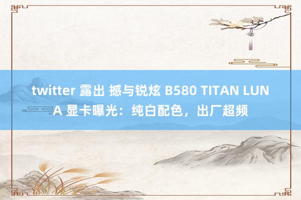 twitter 露出 撼与锐炫 B580 TITAN LUNA 显卡曝光：纯白配色，出厂超频