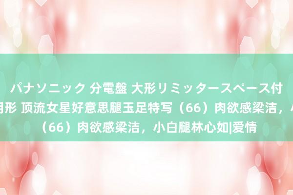 パナソニック 分電盤 大形リミッタースペース付 露出・半埋込両用形 顶流女星好意思腿玉足特写（66）肉欲感梁洁，小白腿林心如|爱情