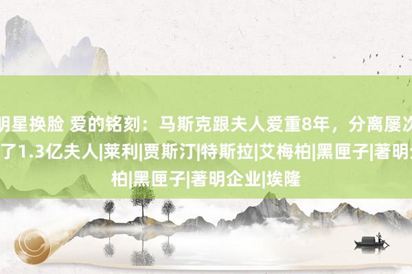 明星换脸 爱的铭刻：马斯克跟夫人爱重8年，分离屡次，临了给了1.3亿夫人|莱利|贾斯汀|特斯拉|艾梅柏|黑匣子|著明企业|埃隆