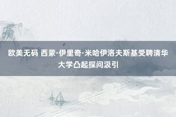欧美无码 西蒙·伊里奇·米哈伊洛夫斯基受聘清华大学凸起探问汲引