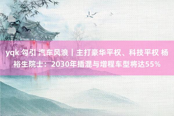 yqk 勾引 汽车风浪｜主打豪华平权、科技平权 杨裕生院士：2030年插混与增程车型将达55%