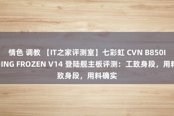 情色 调教 【IT之家评测室】七彩虹 CVN B850I GAMING FROZEN V14 登陆舰主板评测：工致身段，用料确实