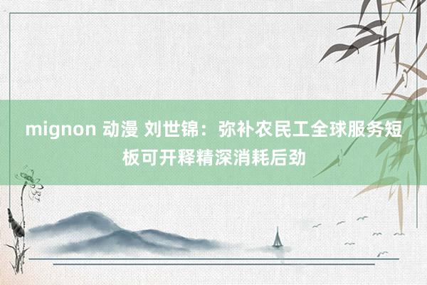 mignon 动漫 刘世锦：弥补农民工全球服务短板可开释精深消耗后劲