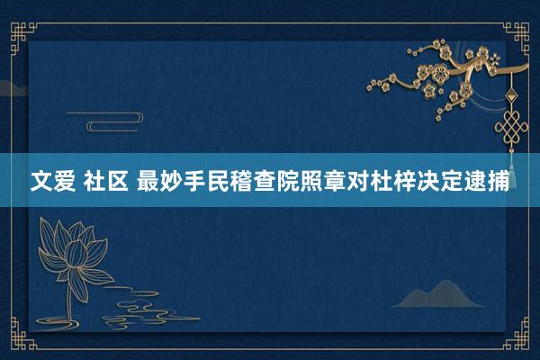 文爱 社区 最妙手民稽查院照章对杜梓决定逮捕