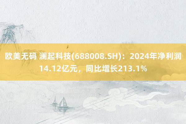 欧美无码 澜起科技(688008.SH)：2024年净利润14.12亿元，同比增长213.1%